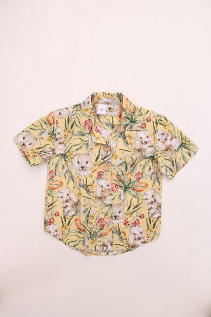 Boys buttons up shirt