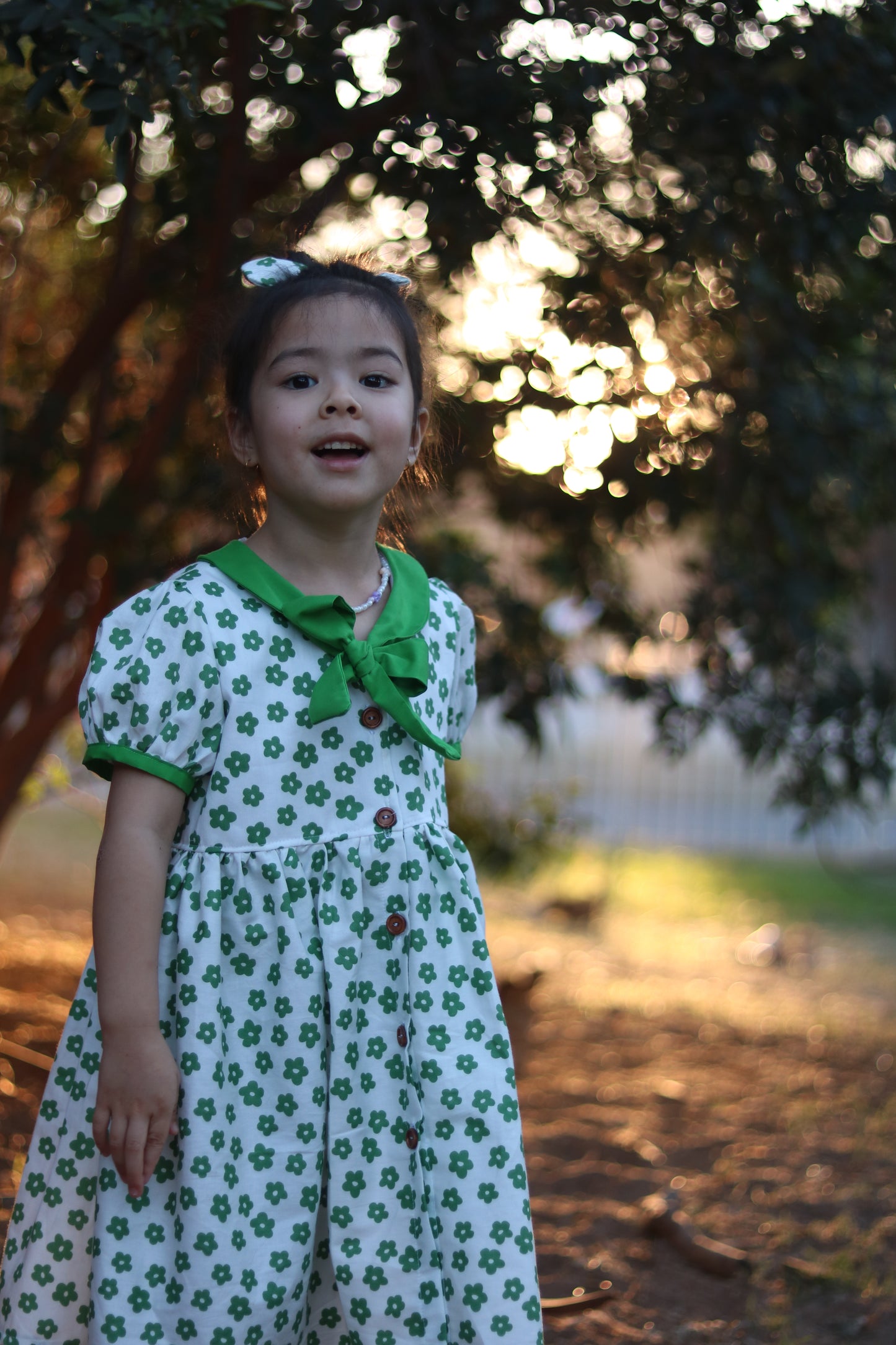 Daisy puff sleeves dress