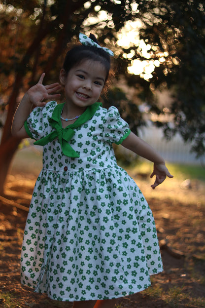 Daisy puff sleeves dress