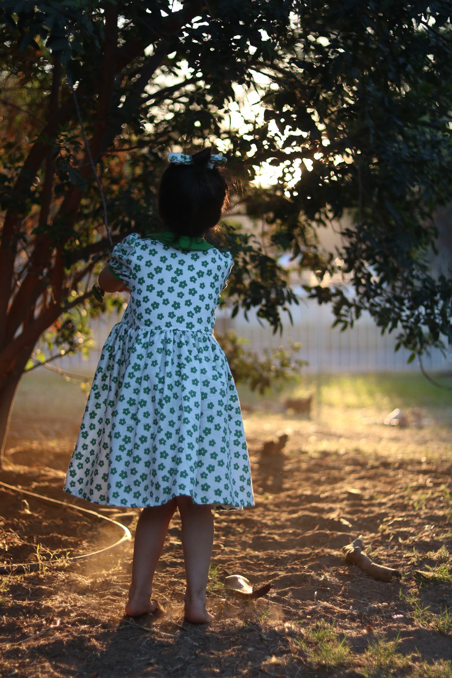 Daisy puff sleeves dress