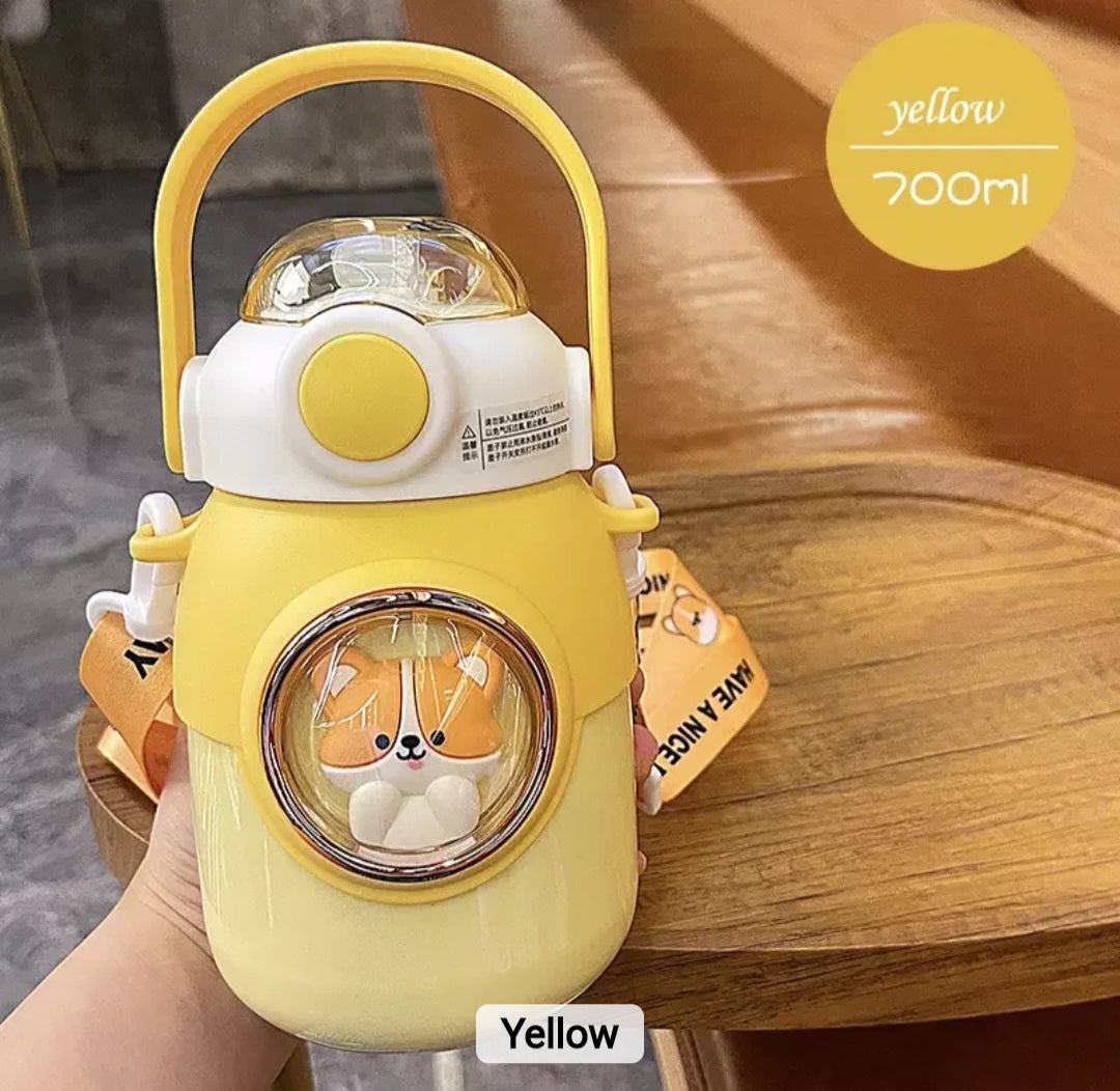 Cartoon Water bottle